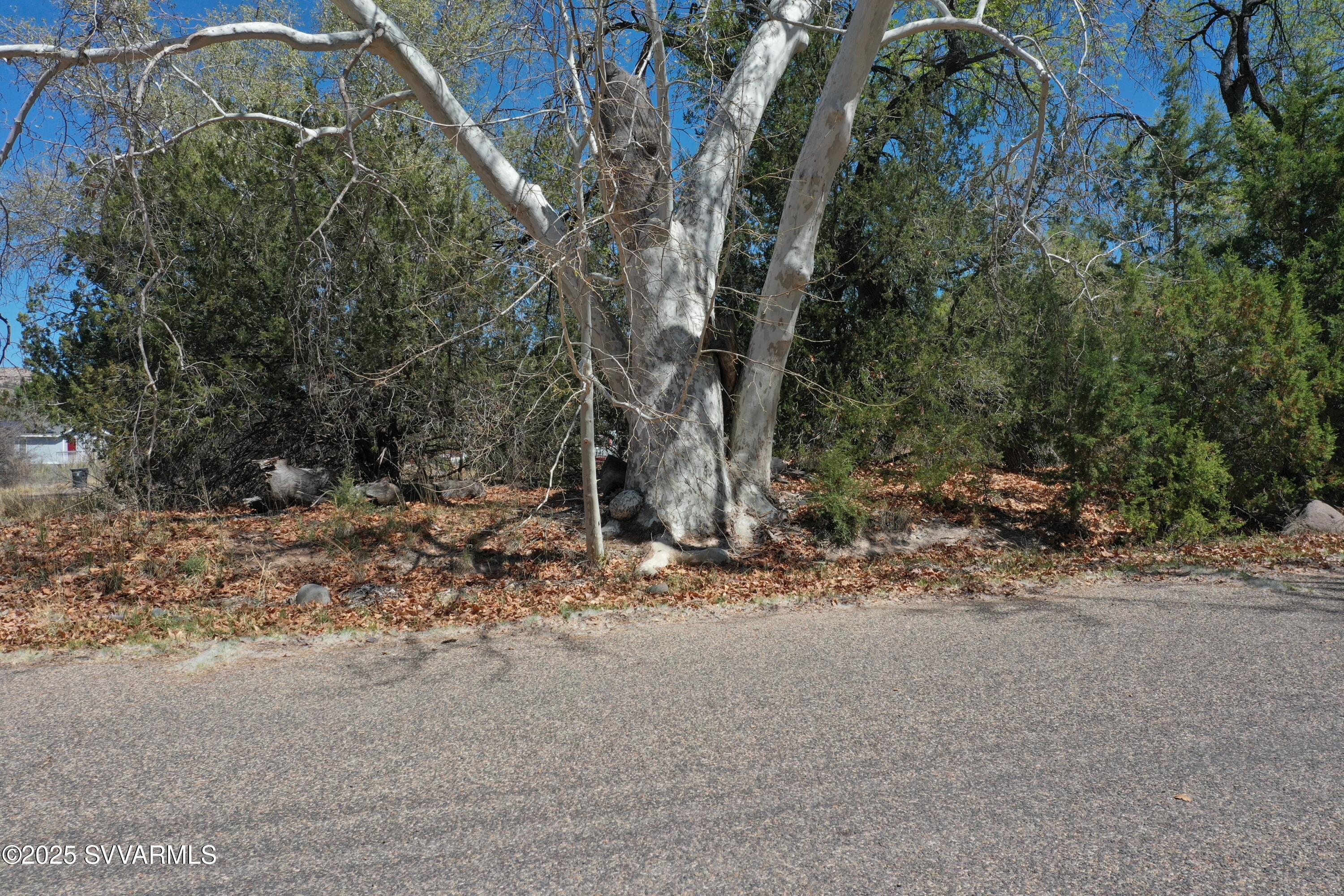 3087 S Cedar Way 515