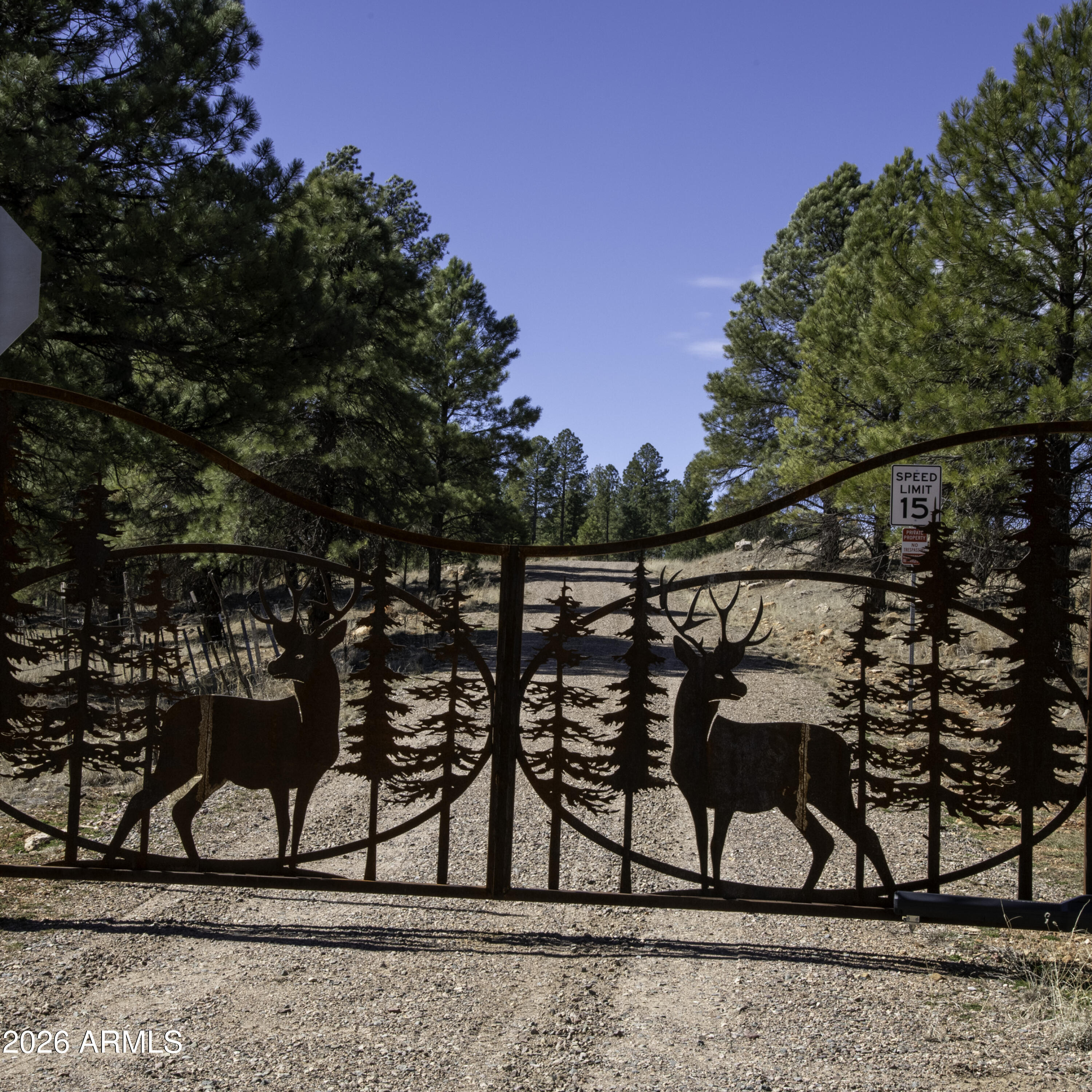 7800 Forest Service 122 Rd-Tract 9B -- 9-B