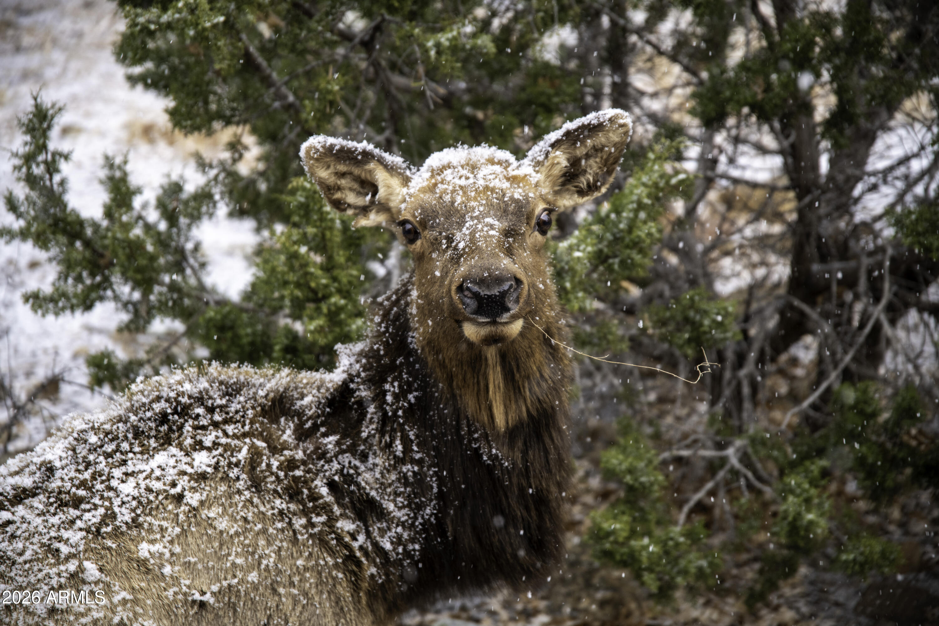 7800 Forest Service 122 Rd-Tract 9B -- 9-B