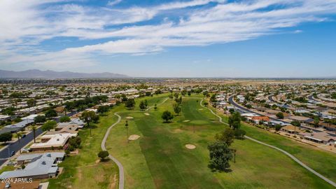 Duplex in Sun City AZ 10802 CAMEO Drive 53.jpg