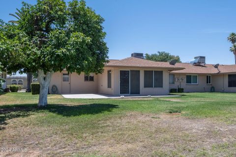 Duplex in Sun City AZ 10802 CAMEO Drive 31.jpg