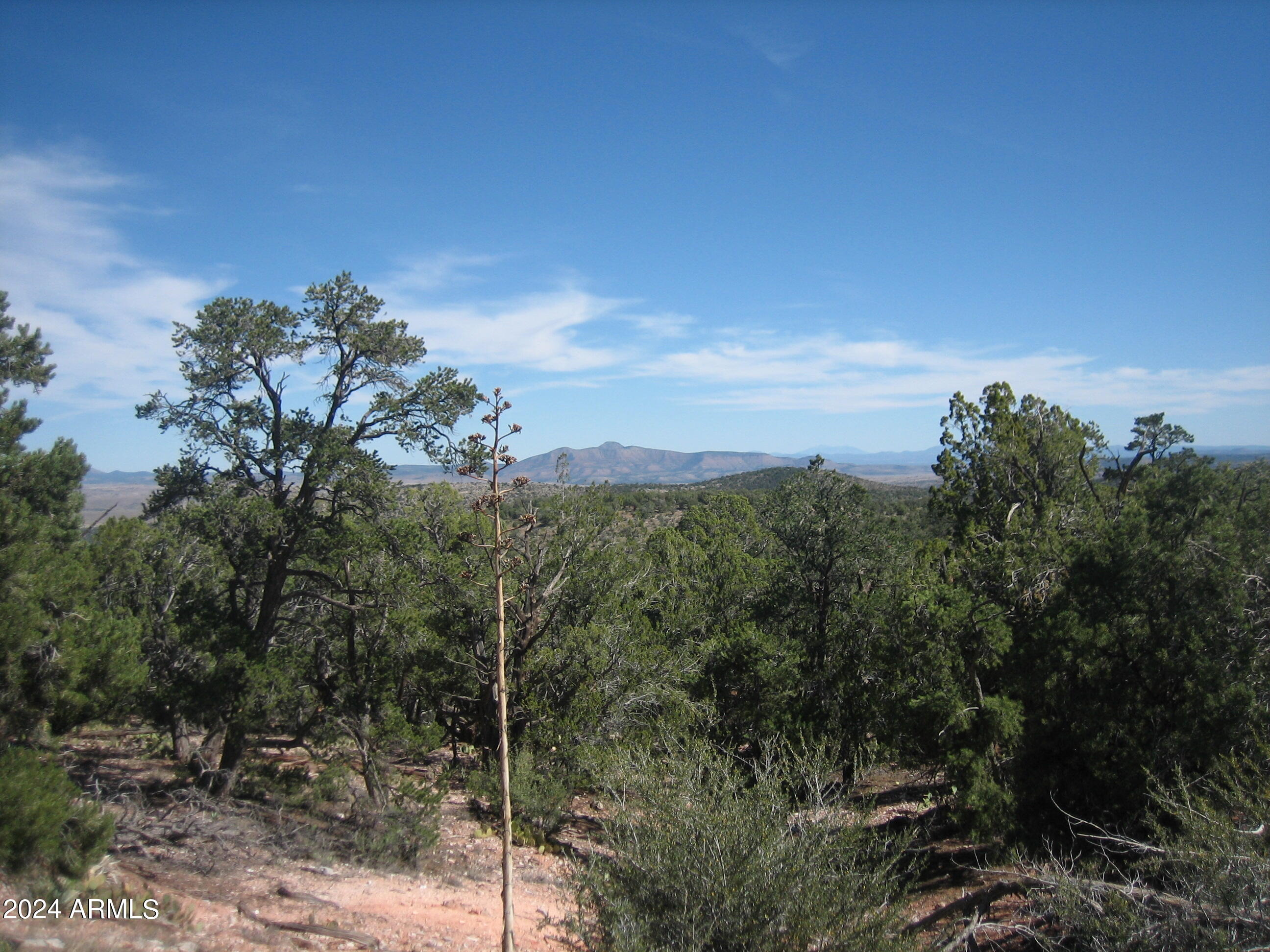 42444 N PURCELL CANYON Drive -