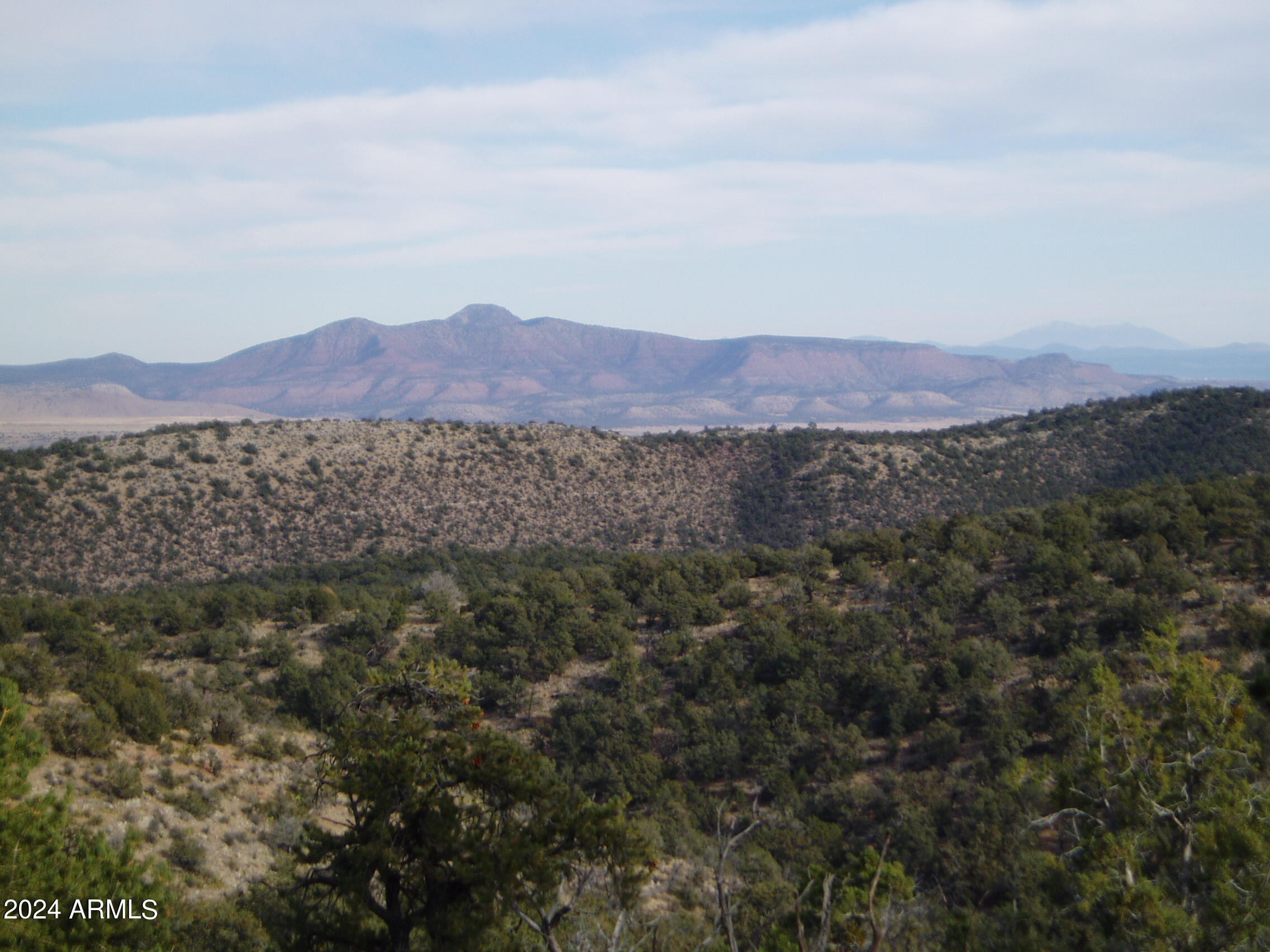 42444 N PURCELL CANYON Drive -