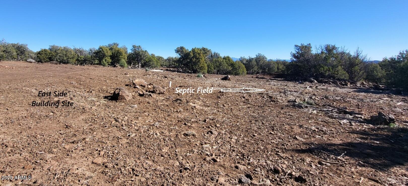 12120 9 Shooter -- 31