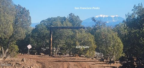 12120 9 Shooter -- 31 Williams AZ 86046