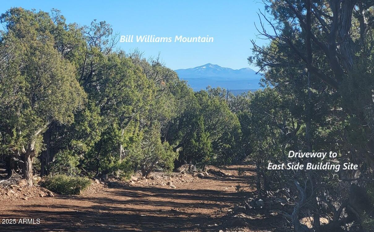 12120 9 Shooter -- 31