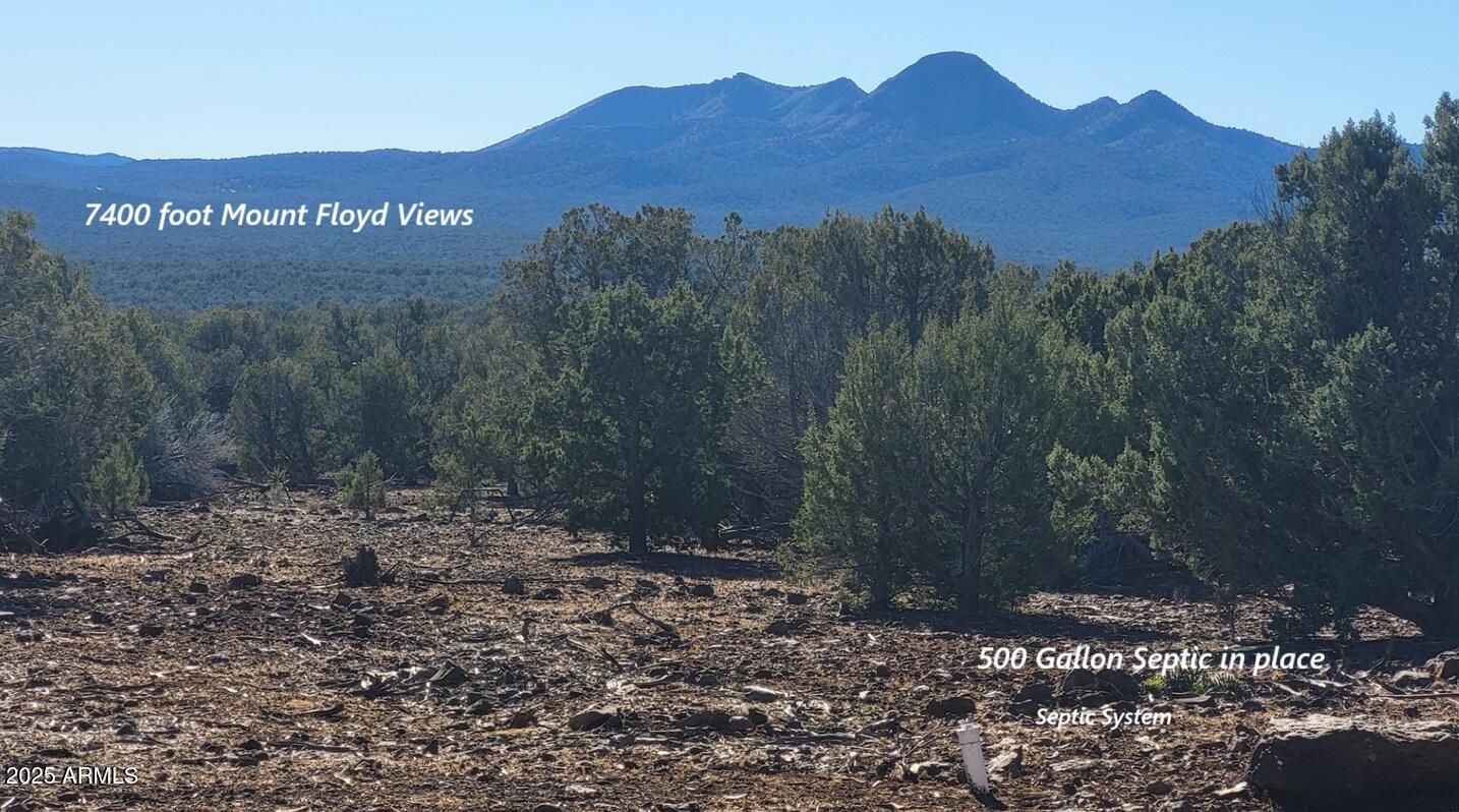 12120 9 Shooter -- 31