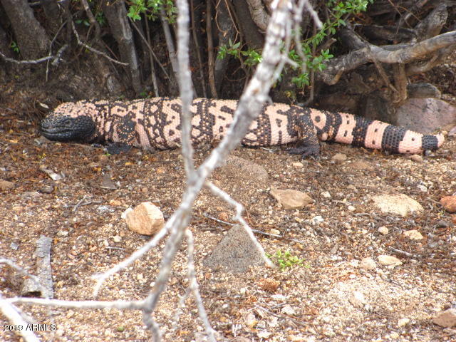 Wickenburg, Arizona 85390, United States, 22 Bedrooms Bedrooms, ,16 BathroomsBathrooms,Residential,Active,217260