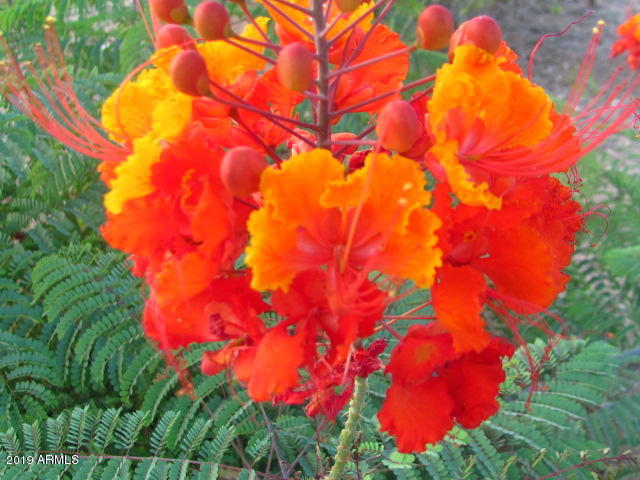 Wickenburg, Arizona 85390, United States, 22 Bedrooms Bedrooms, ,16 BathroomsBathrooms,Residential,Active,217260