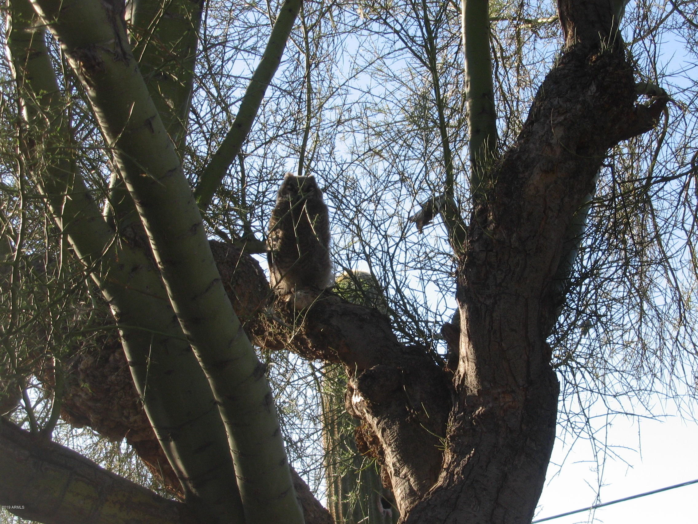 Wickenburg, Arizona 85390, United States, 22 Bedrooms Bedrooms, ,16 BathroomsBathrooms,Residential,Active,217260