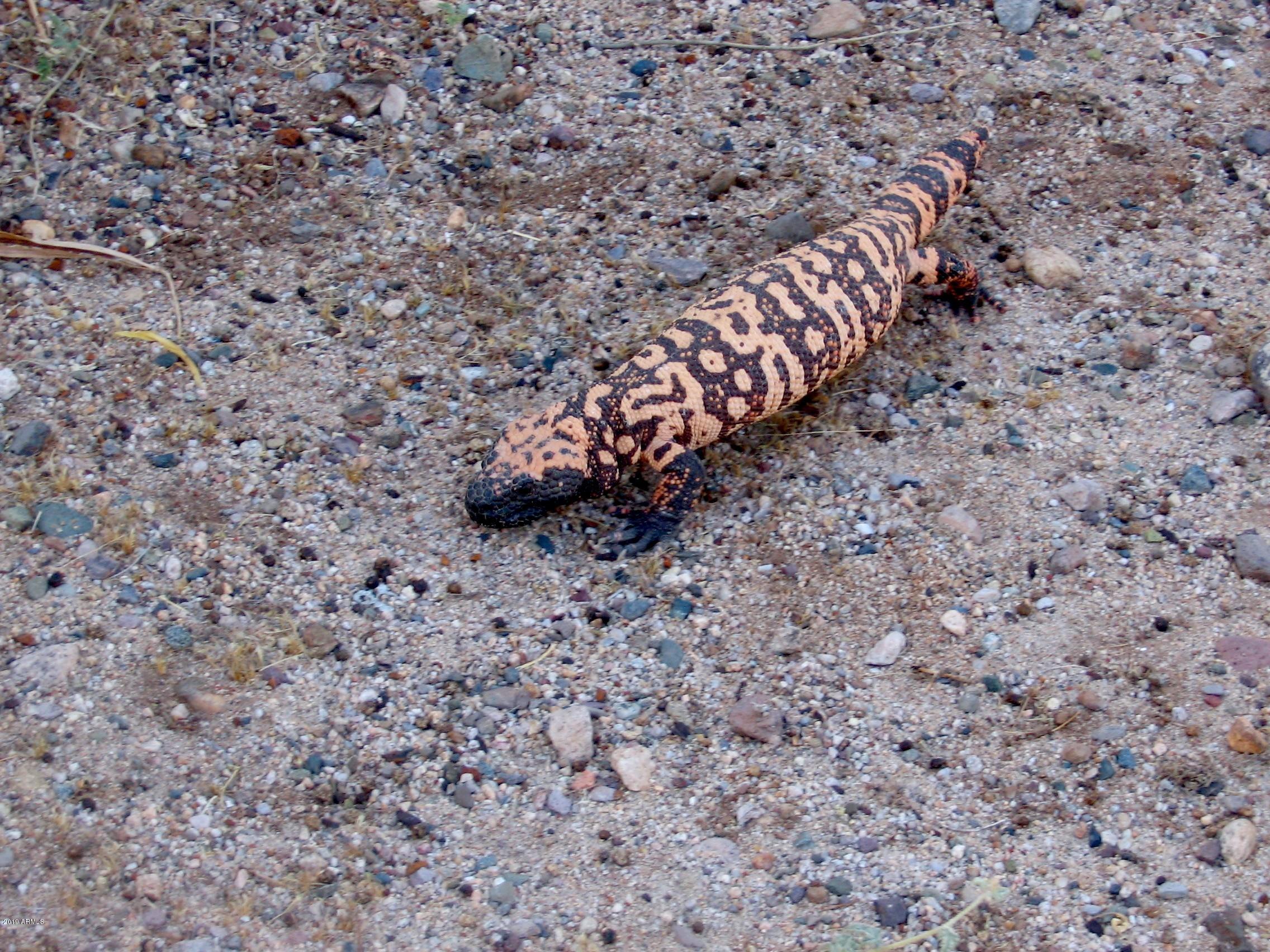 Wickenburg, Arizona 85390, United States, 22 Bedrooms Bedrooms, ,16 BathroomsBathrooms,Residential,Active,217260