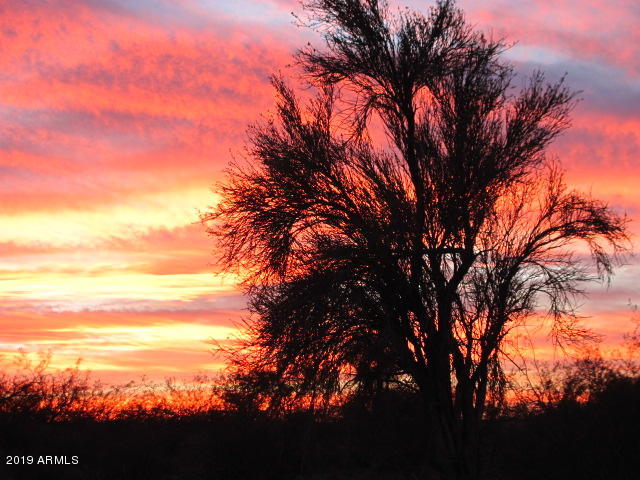 Wickenburg, Arizona 85390, United States, 22 Bedrooms Bedrooms, ,16 BathroomsBathrooms,Residential,Active,217260