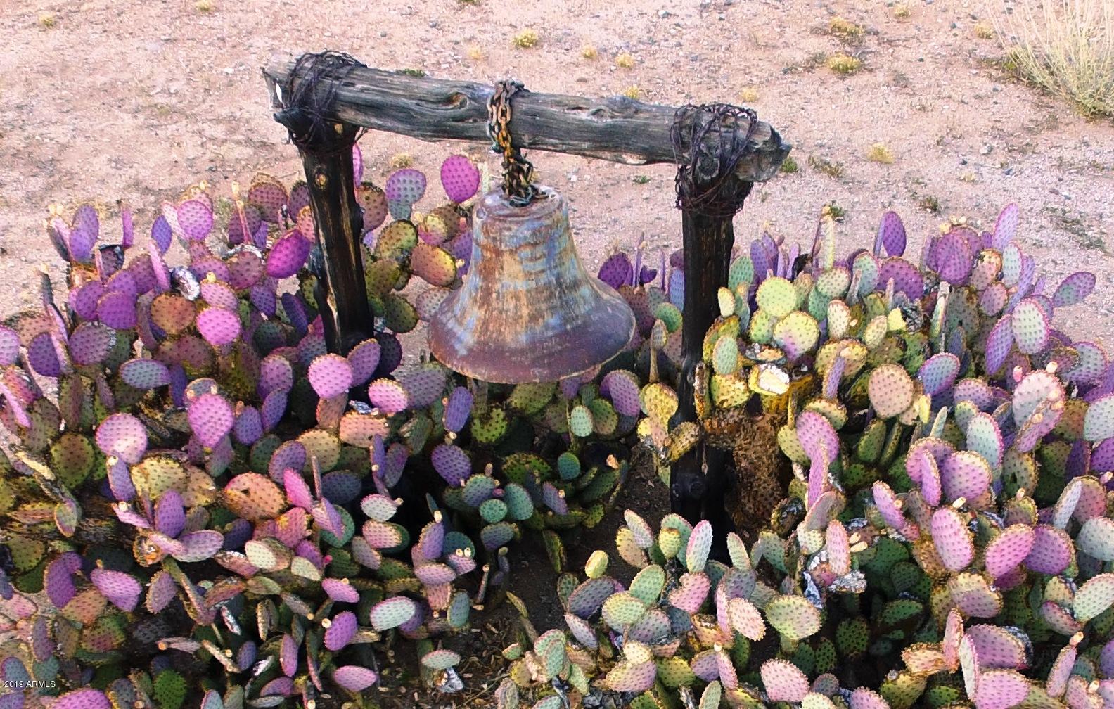 Wickenburg, Arizona 85390, United States, 22 Bedrooms Bedrooms, ,16 BathroomsBathrooms,Residential,Active,217260