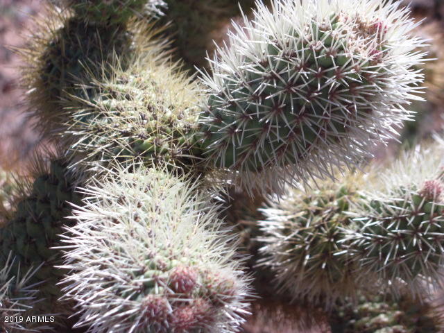 Wickenburg, Arizona 85390, United States, 22 Bedrooms Bedrooms, ,16 BathroomsBathrooms,Residential,Active,217260