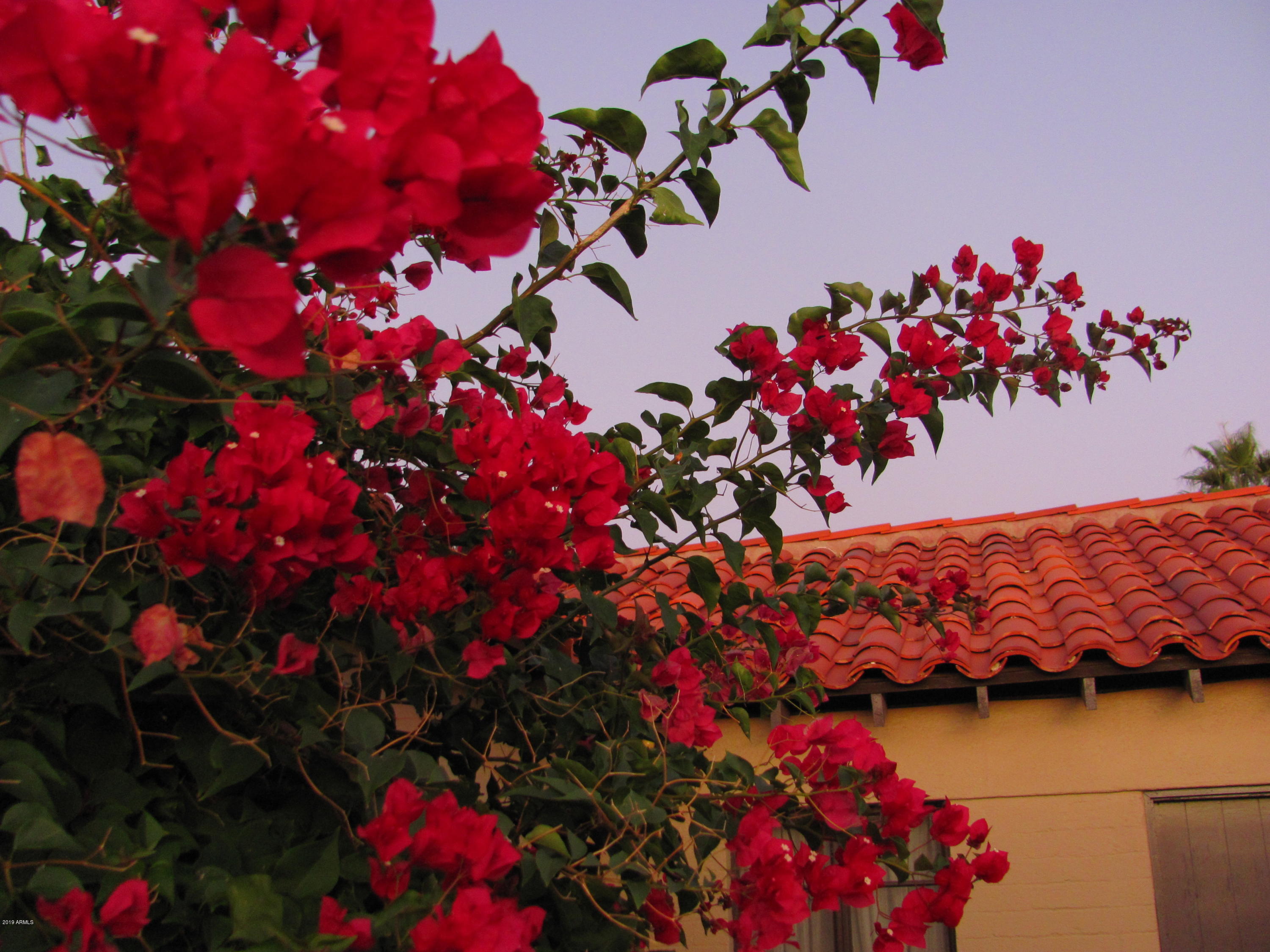 Wickenburg, Arizona 85390, United States, 22 Bedrooms Bedrooms, ,16 BathroomsBathrooms,Residential,Active,217260