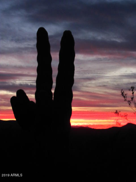 Wickenburg, Arizona 85390, United States, 22 Bedrooms Bedrooms, ,16 BathroomsBathrooms,Residential,Active,217260