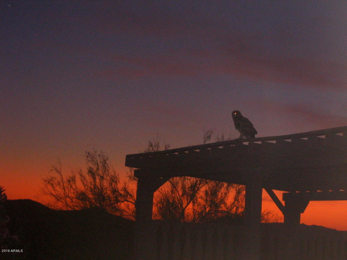 Wickenburg, Arizona 85390, United States, 22 Bedrooms Bedrooms, ,16 BathroomsBathrooms,Residential,Active,217260