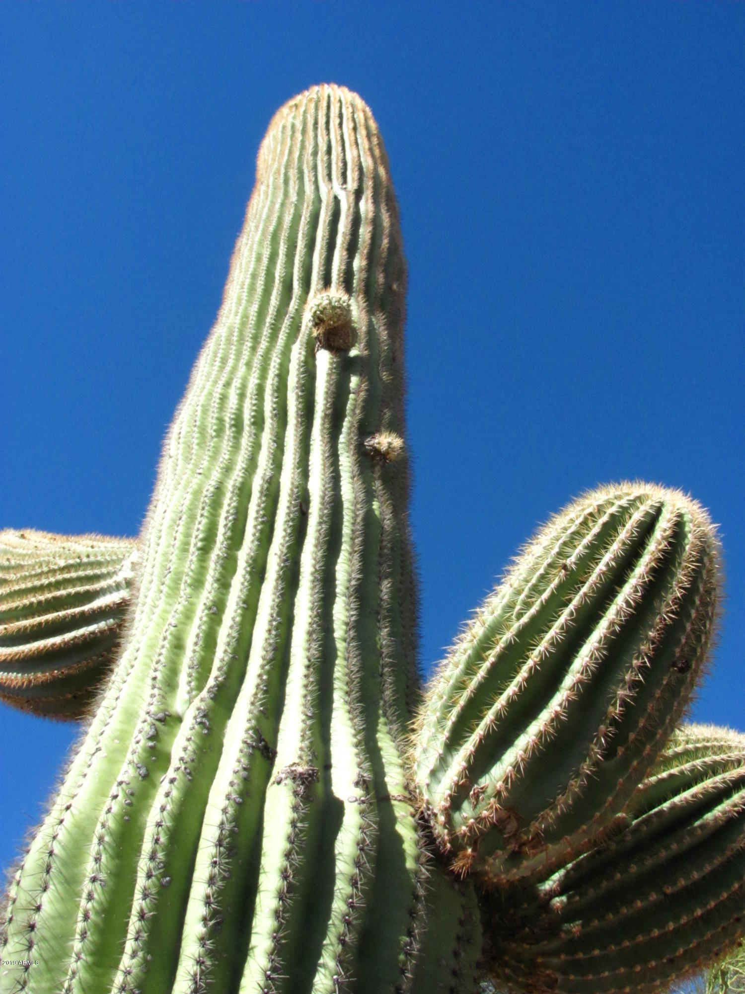 Wickenburg, Arizona 85390, United States, 22 Bedrooms Bedrooms, ,16 BathroomsBathrooms,Residential,Active,217260