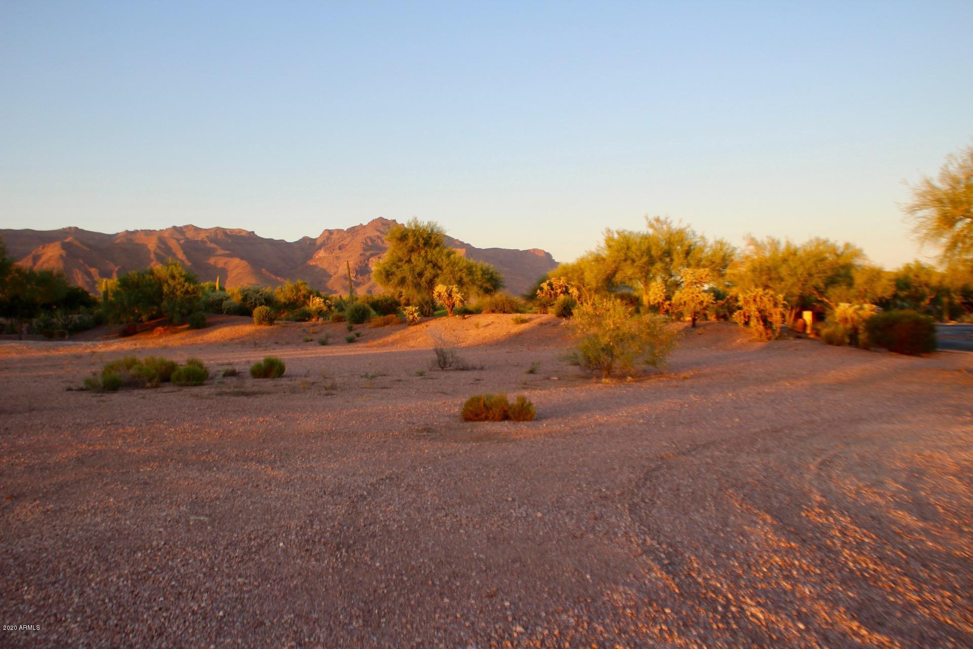 3873 S GAMBEL QUAIL Way 14