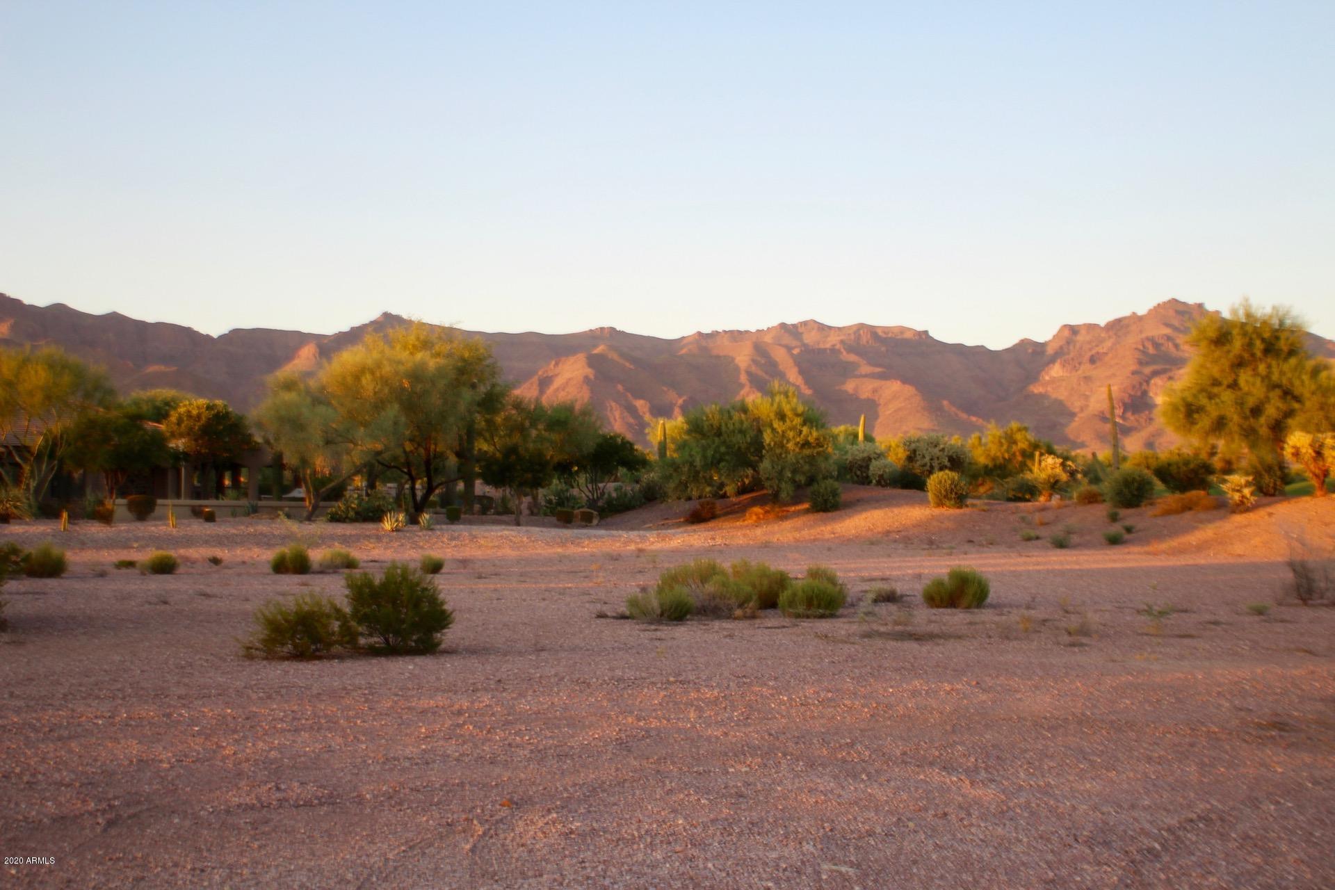 3873 S GAMBEL QUAIL Way 14