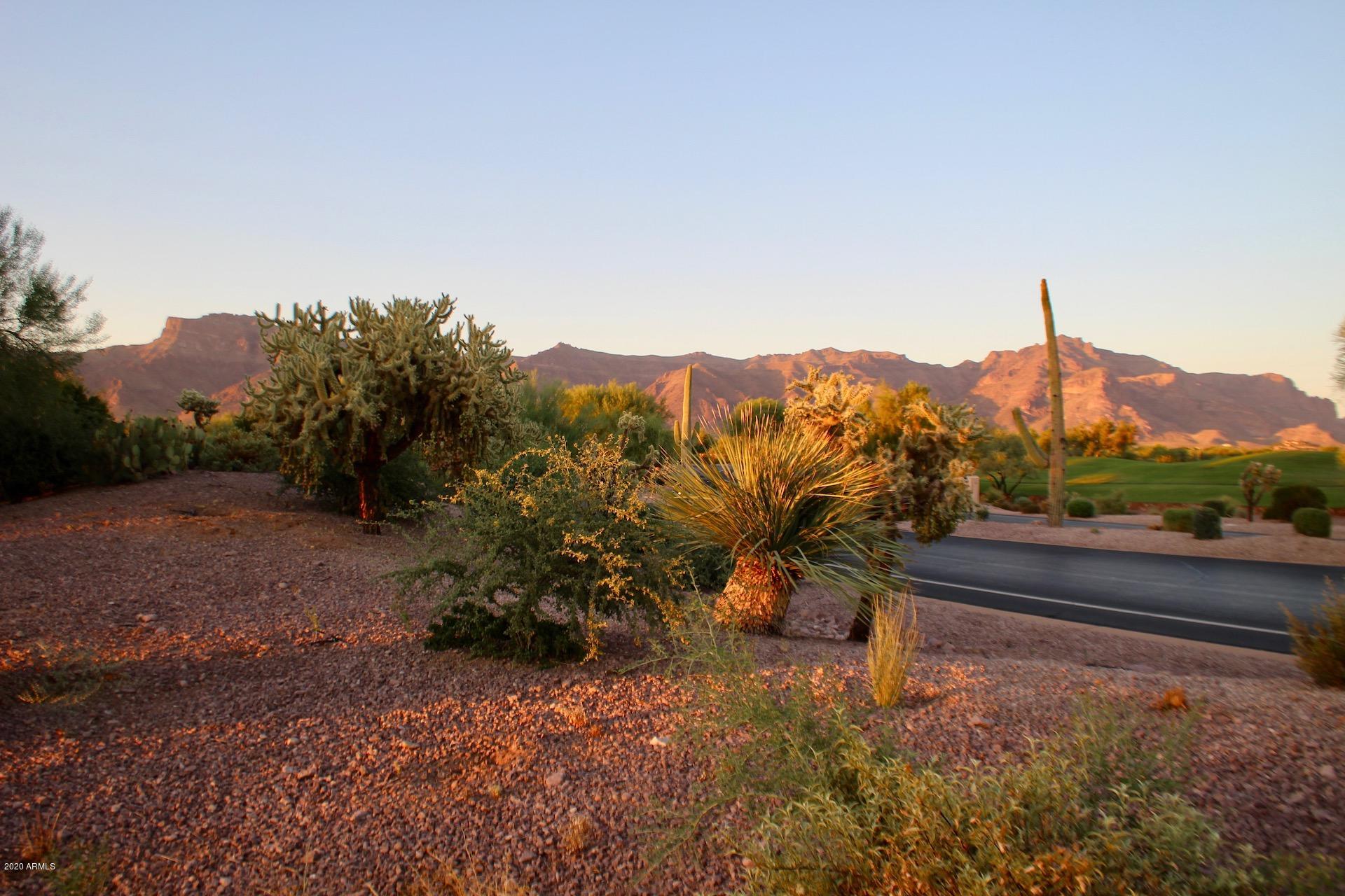 3873 S GAMBEL QUAIL Way 14