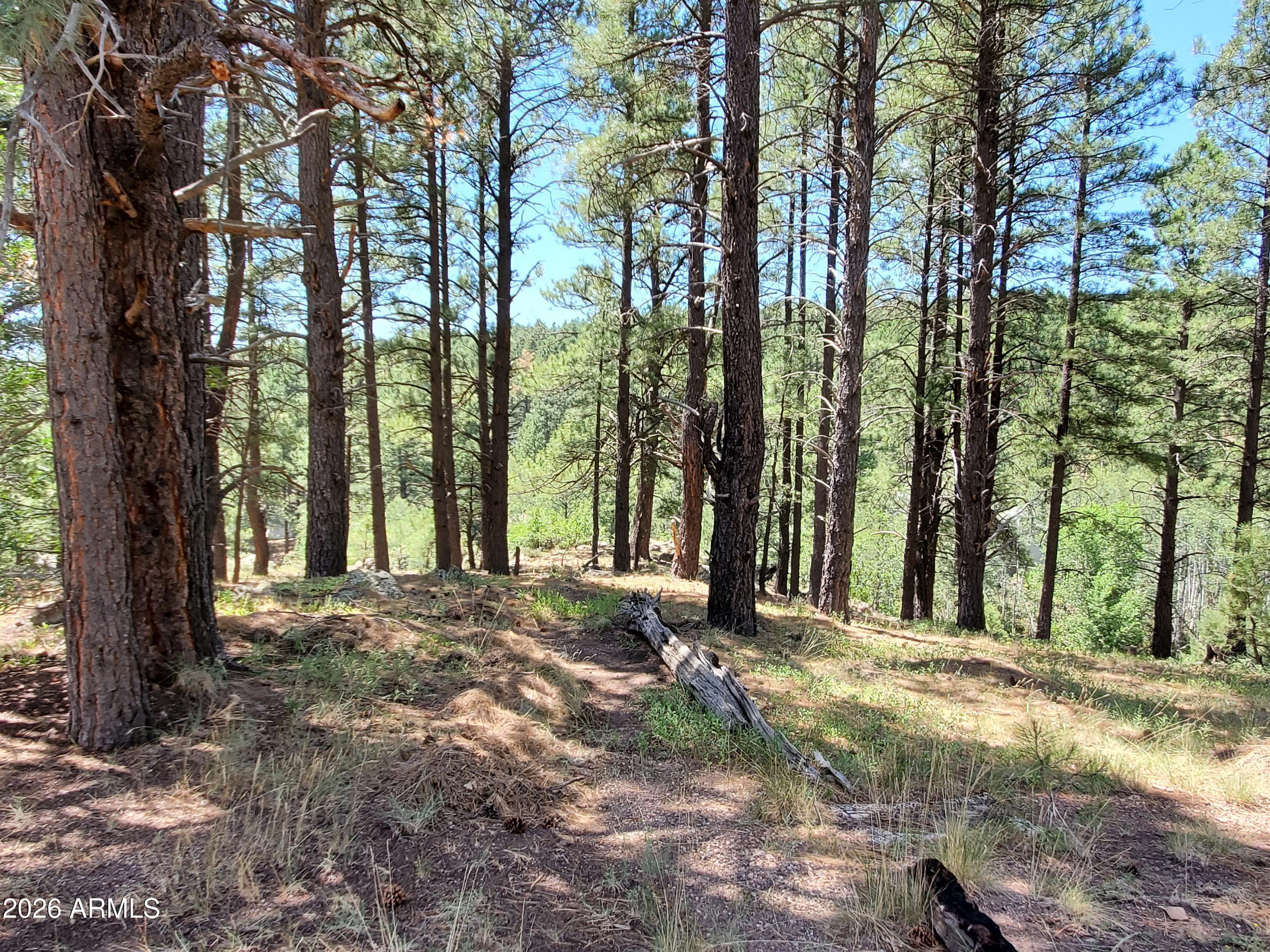 2678 Mesa Trail