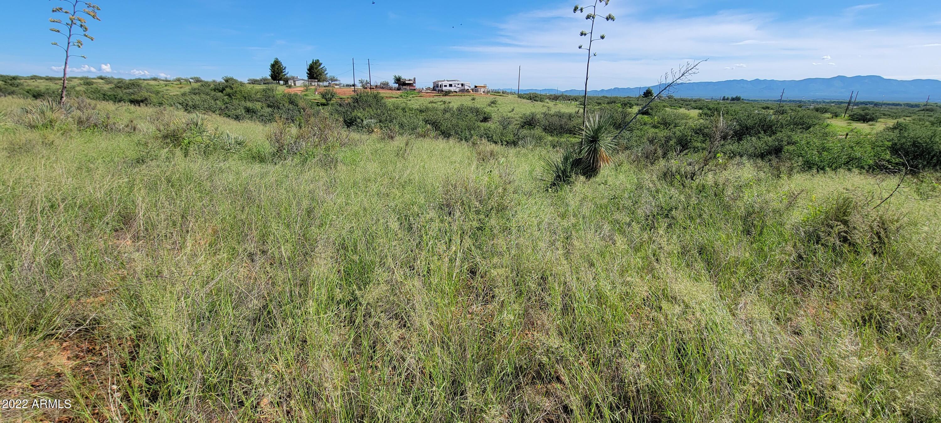 Palominas Ranches - Land