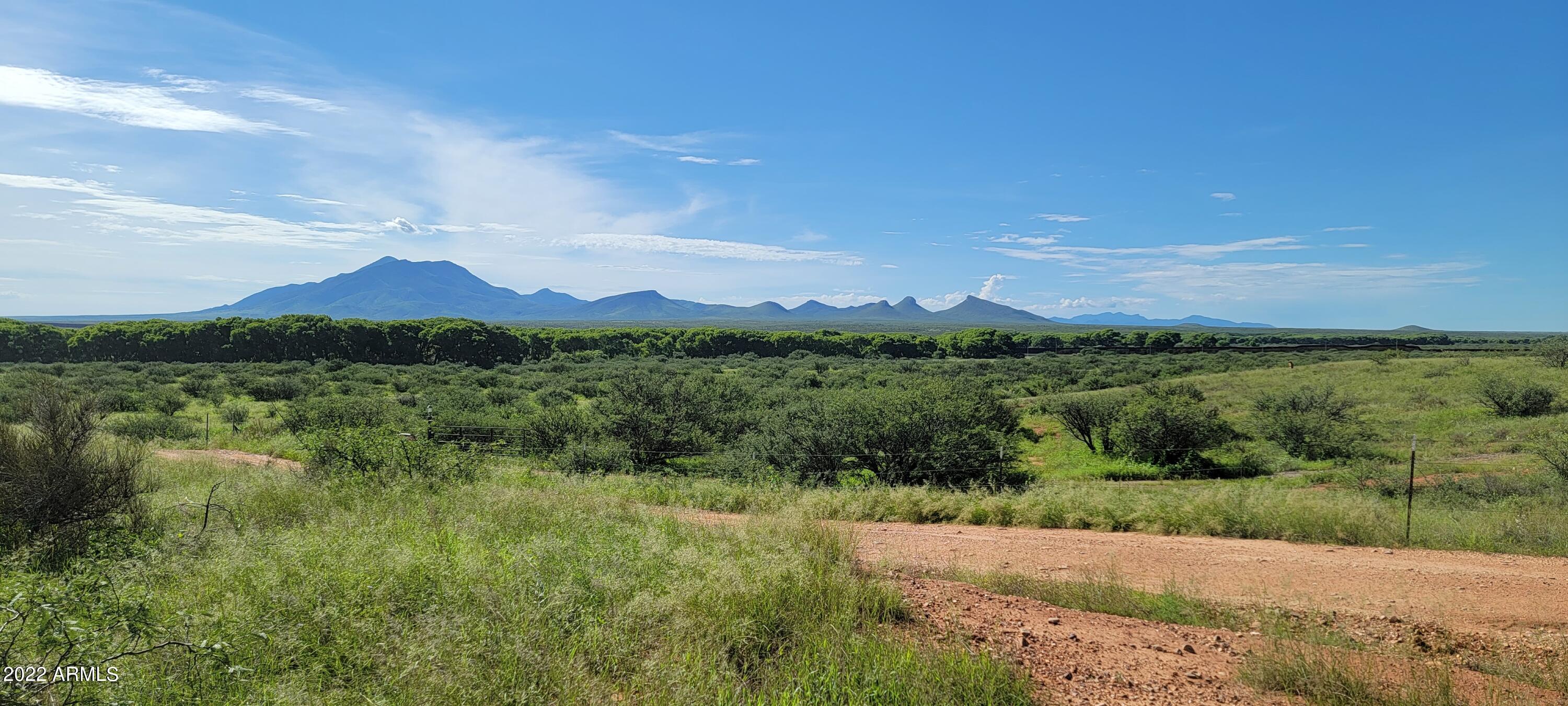 Palominas Ranches - Land