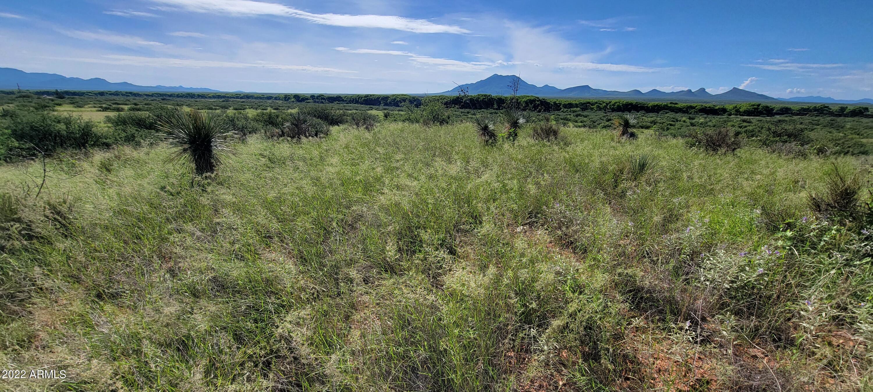 Palominas Ranches - Land