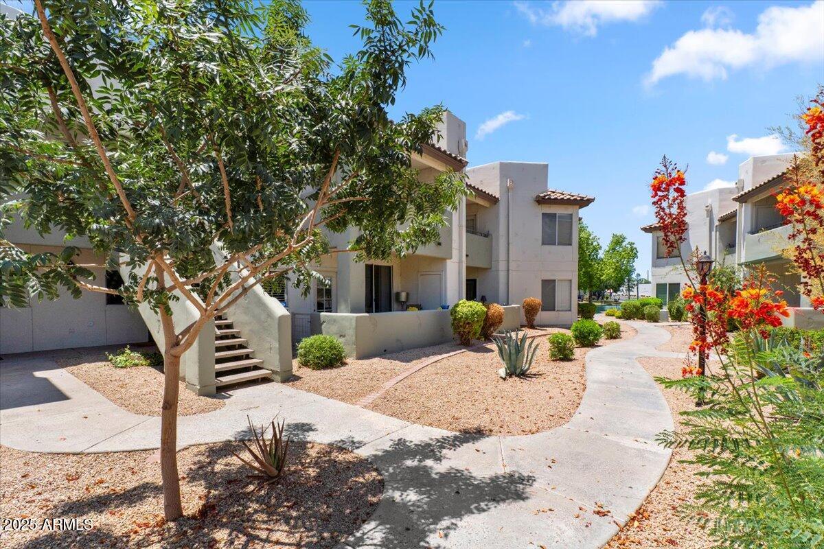1825 W RAY Road 1132