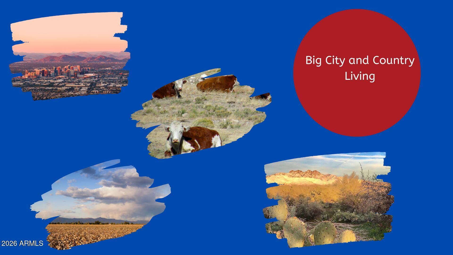 19221 N SOMBRERO Circle