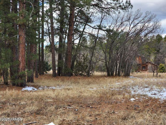 2540 W Pinegrass Road