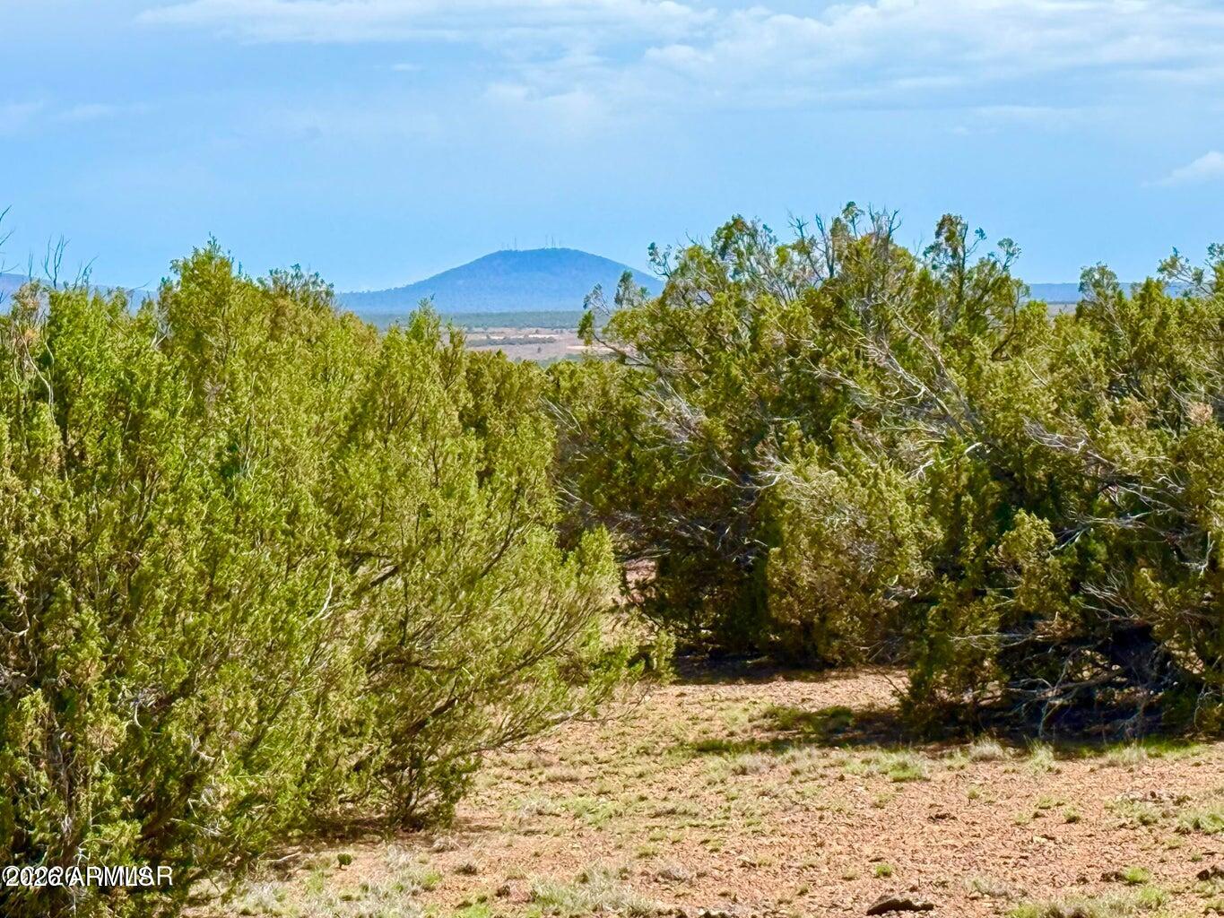 0 Gample Ln 13 Acres (Lot A) -- -