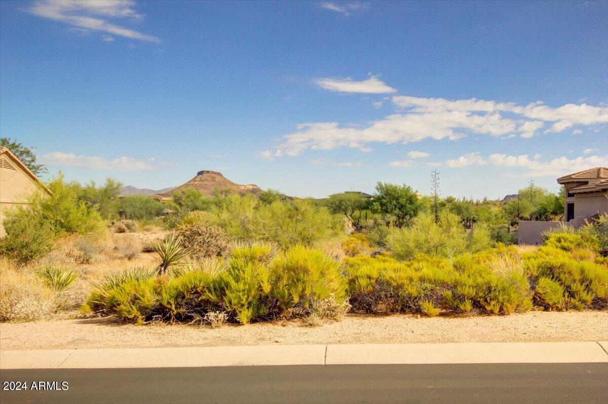 10922 E CINDER CONE Trail 173