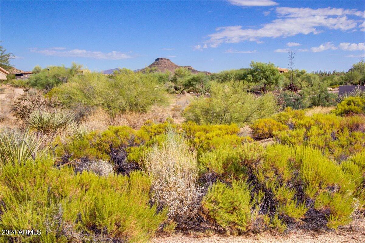 10922 E CINDER CONE Trail 173