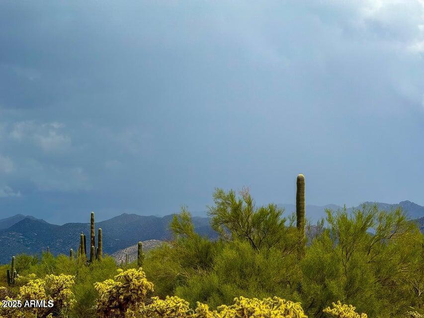 0 S Twin Hawk Ln Lot #2  10 Acres -- -