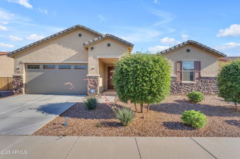 40657 W SOMERS Drive Maricopa AZ 85138