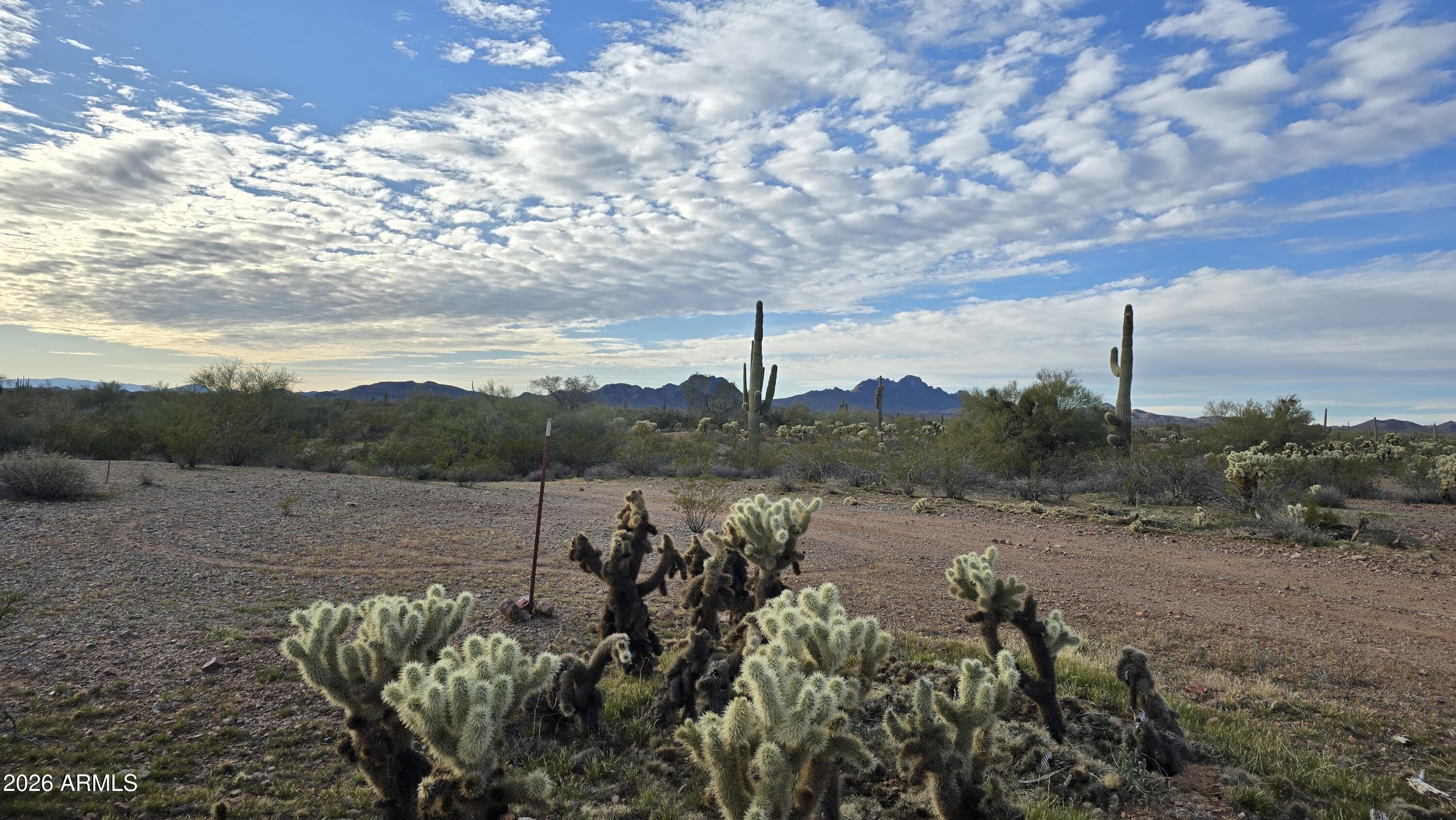 308XX W Joy Ranch Road -