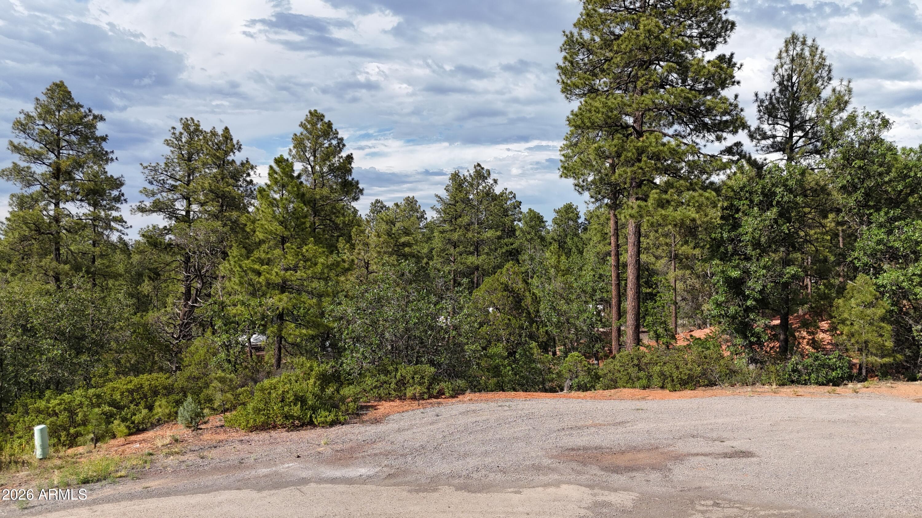 7026 Leo Ln,Unit 25, Lakeside, AZ 85929