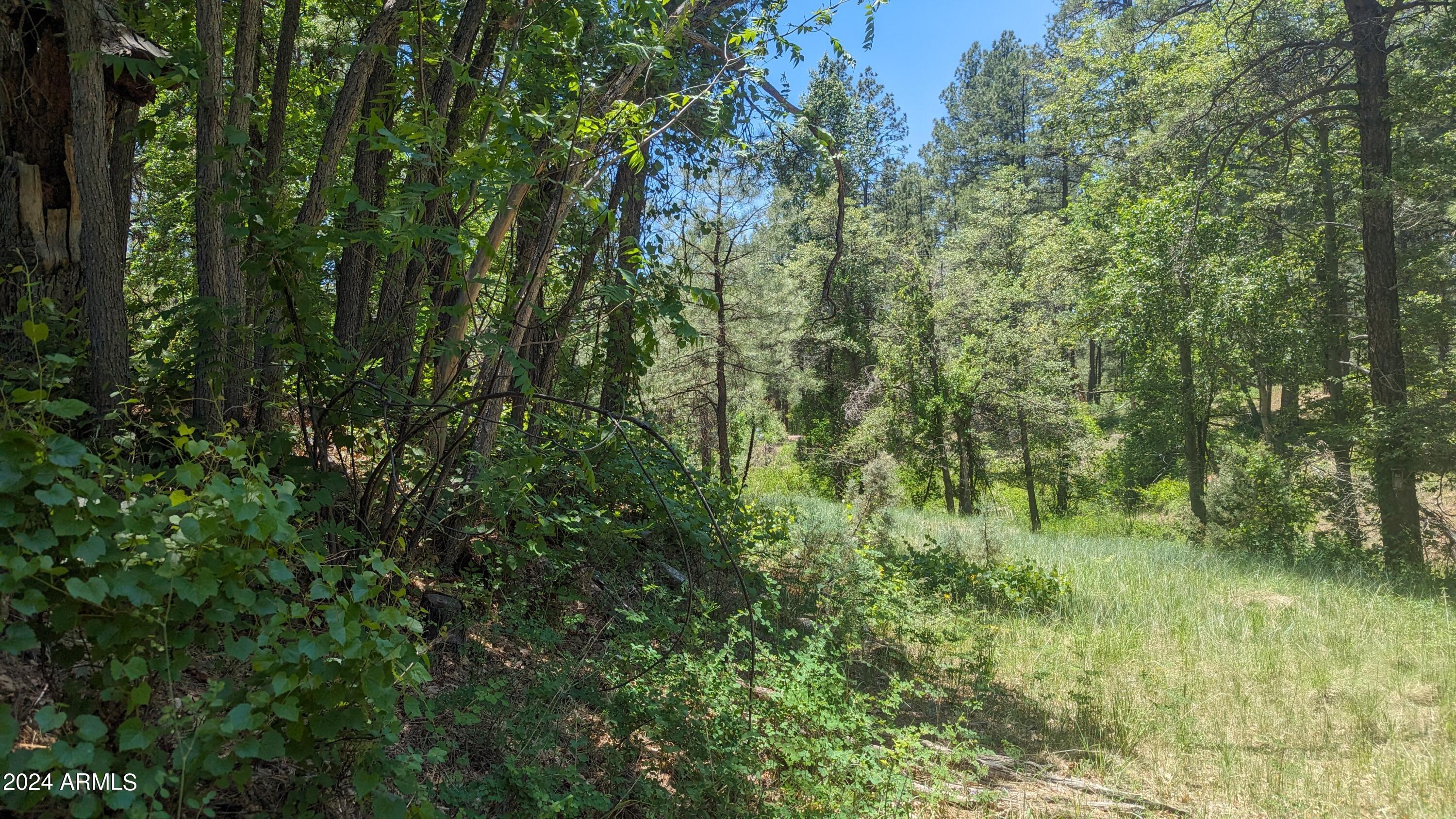 Gordon Canyon - Land