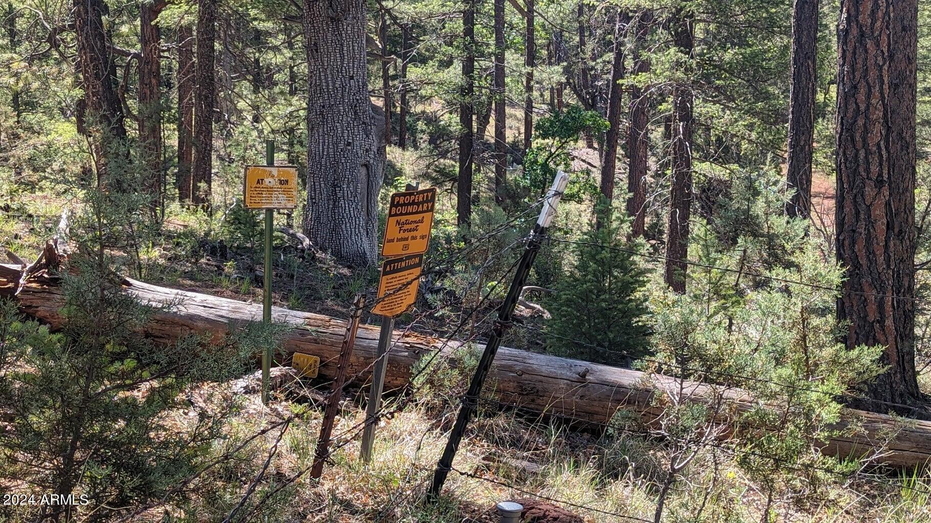 Gordon Canyon - Land