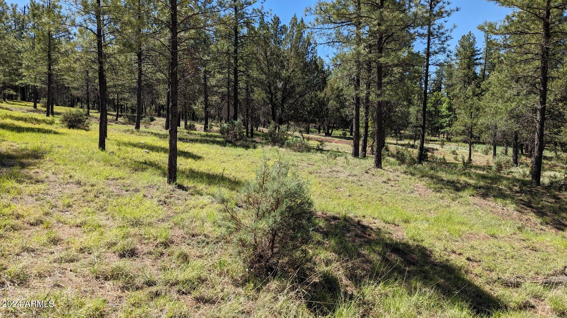 Gordon Canyon - Land