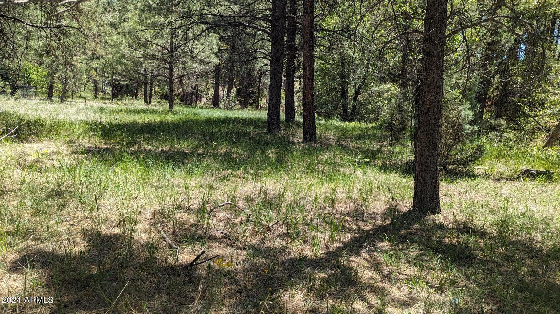 Gordon Canyon - Land