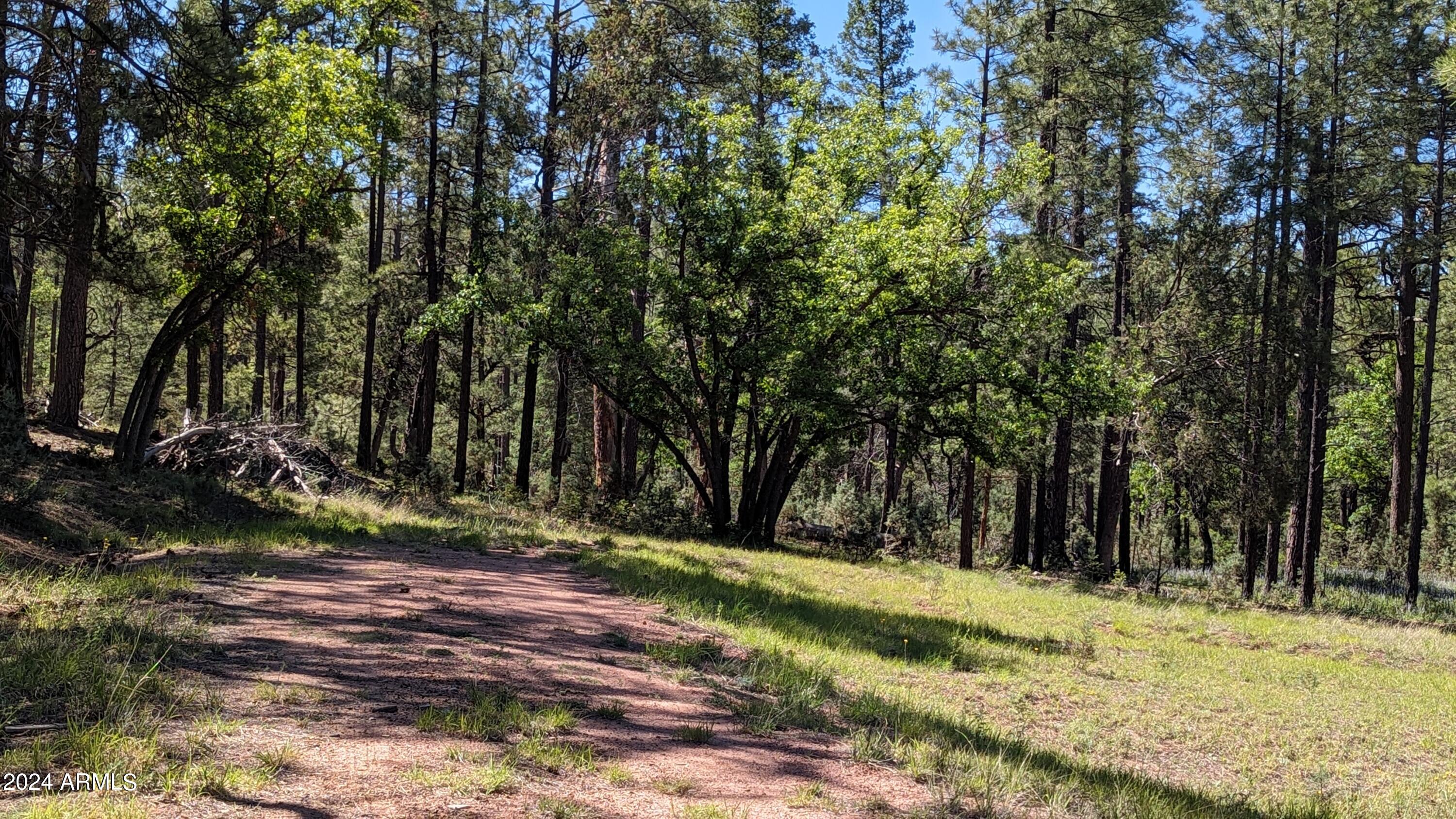 Gordon Canyon - Land