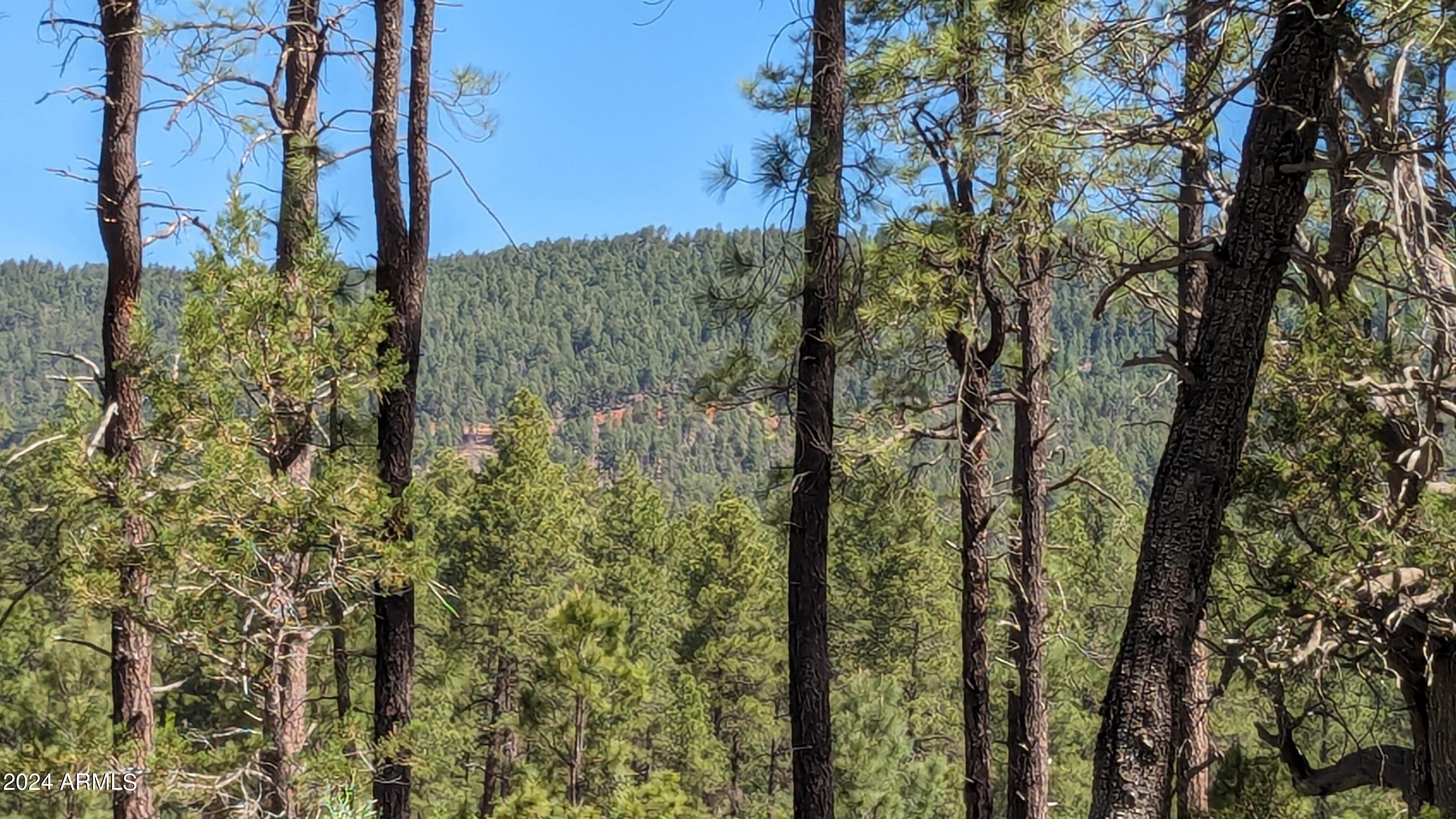 Gordon Canyon - Land