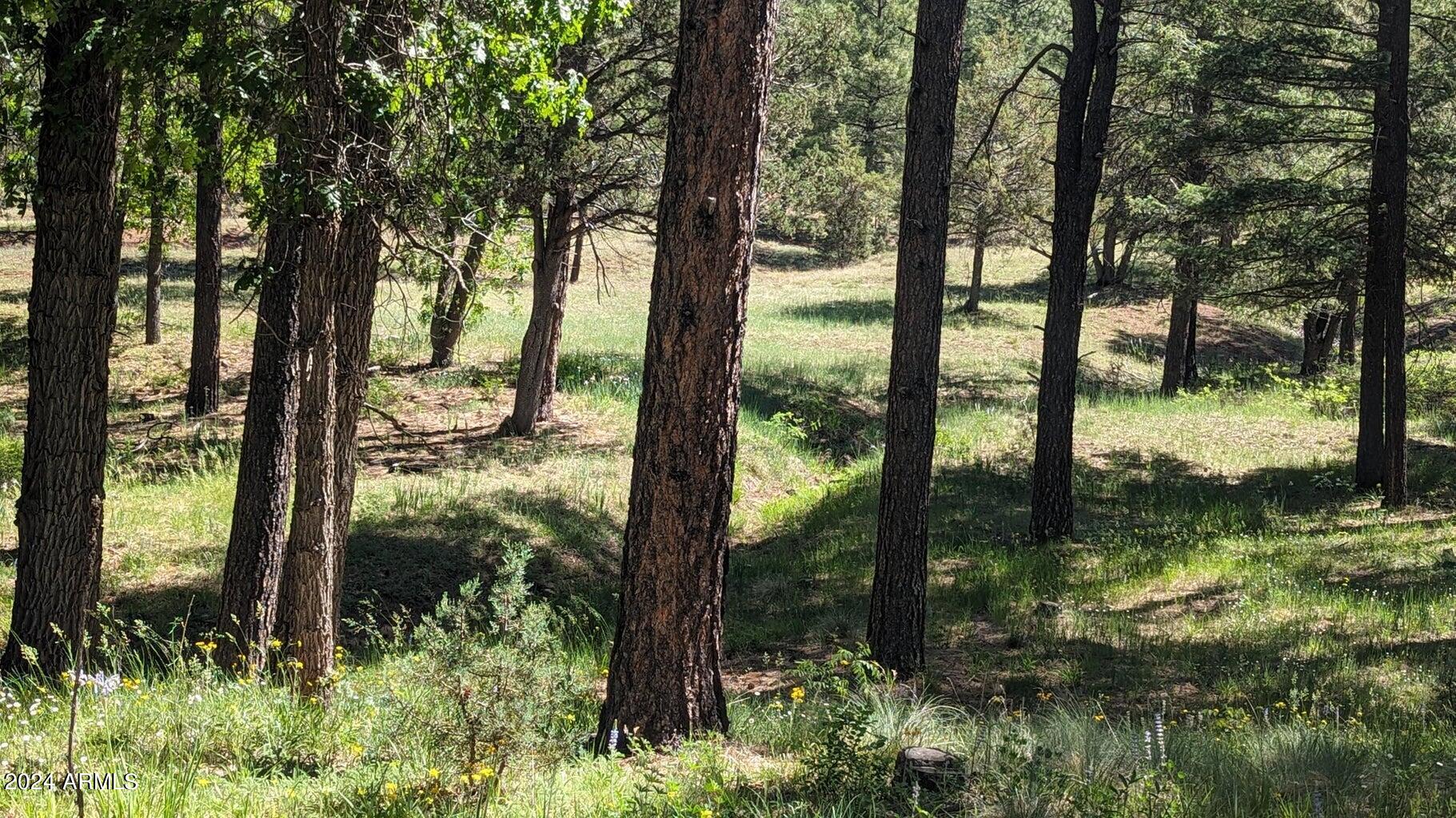 Gordon Canyon - Land