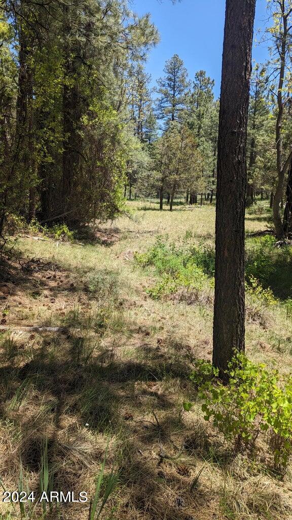 Gordon Canyon - Land