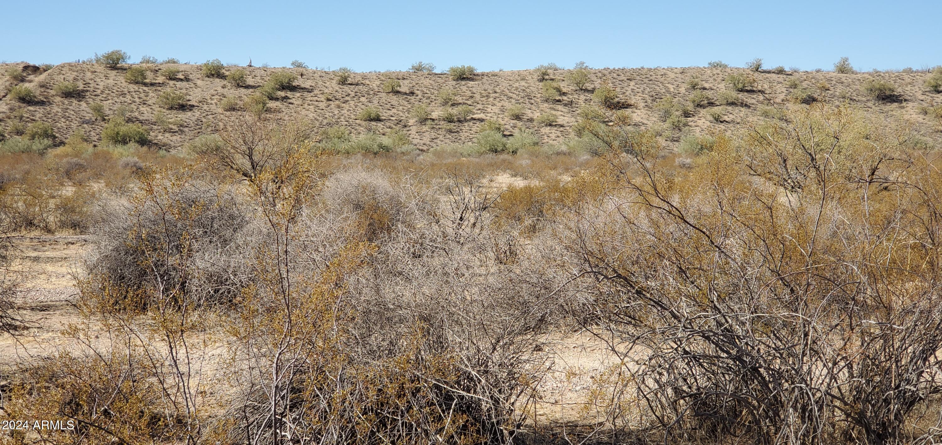 29150 W Radford Road 82