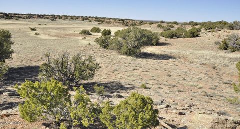 A home in Concho