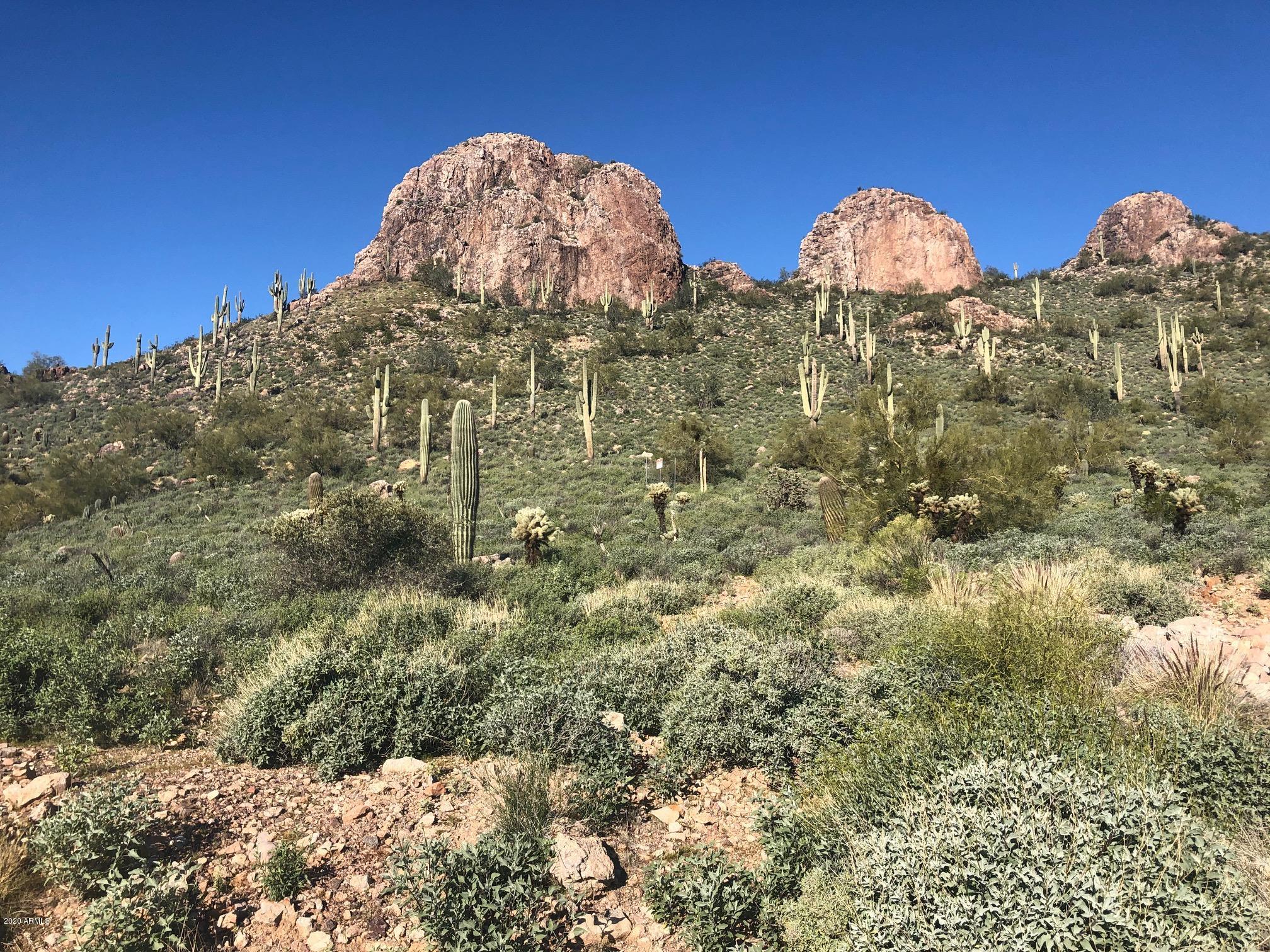 9766 E DEAD SURE Place 10